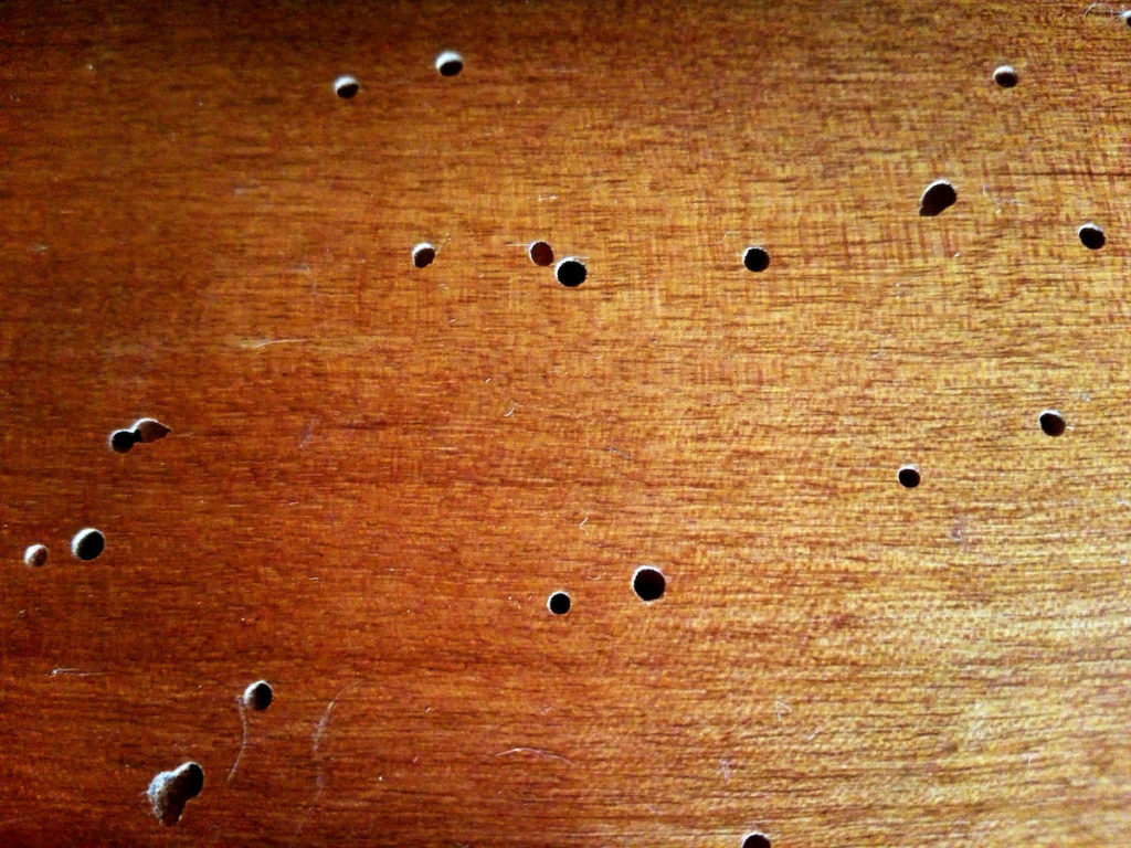 Madera con carcoma